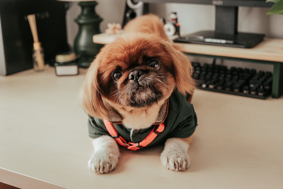 You are currently viewing 2025年必備的5大AI工具，讓你工作效率翻倍