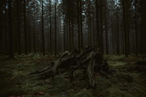 Read more about the article 魔物獵人崛起：挑戰極限生存技能