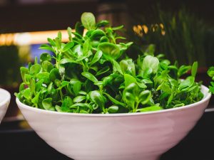 Read more about the article 信義區高級版欣葉自助餐吃到飽，一言難盡的用餐體驗分享