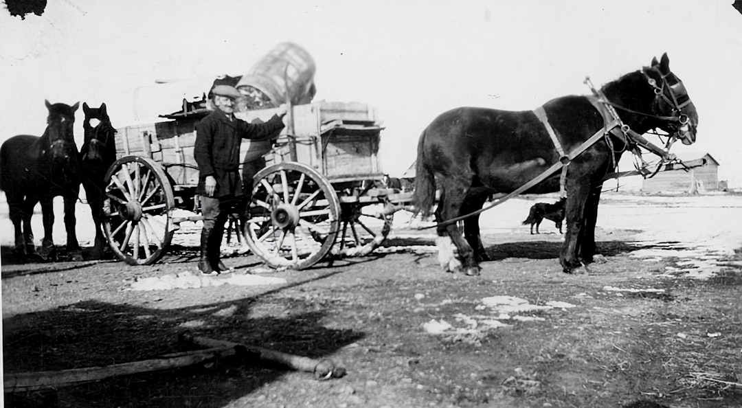 You are currently viewing 重型後推貨架：提升倉儲效率的最佳選擇