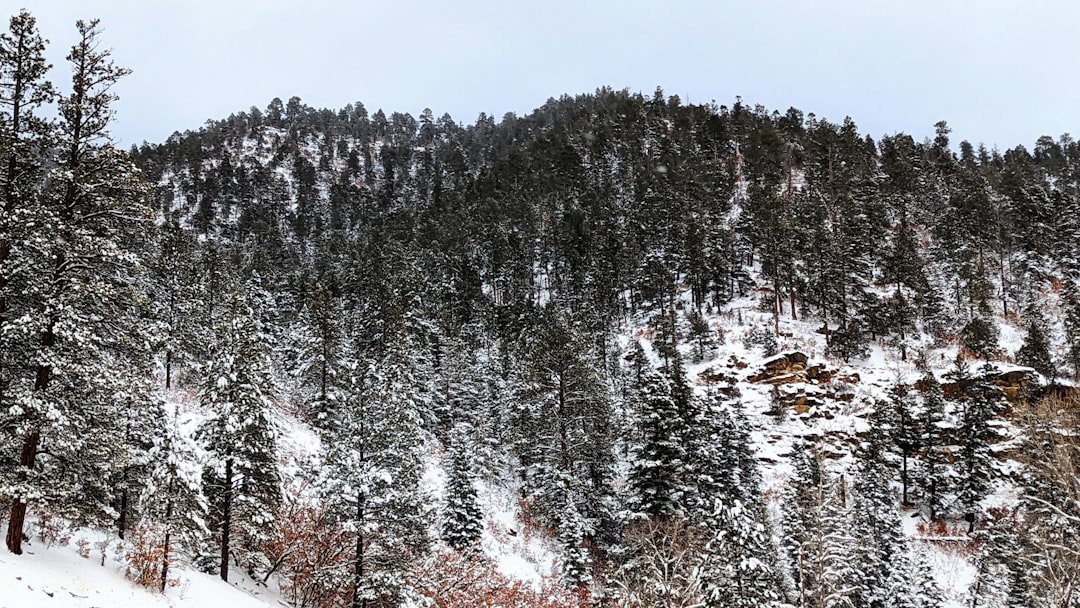 You are currently viewing 日本東北自由行冬季雪景之旅：藏王樹冰及銀山溫泉全攻略
