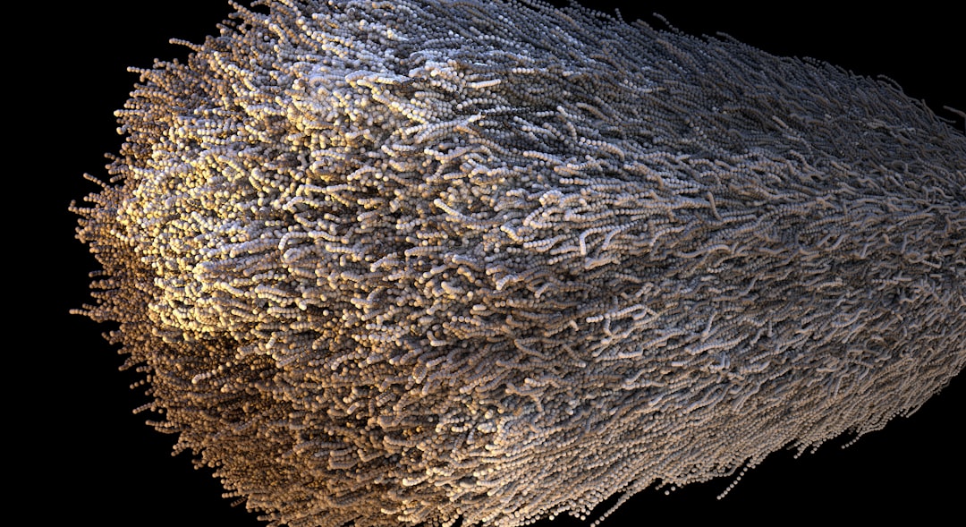 You are currently viewing 基因再生：中國科學家啟動小鼠耳組織再生遺傳開關