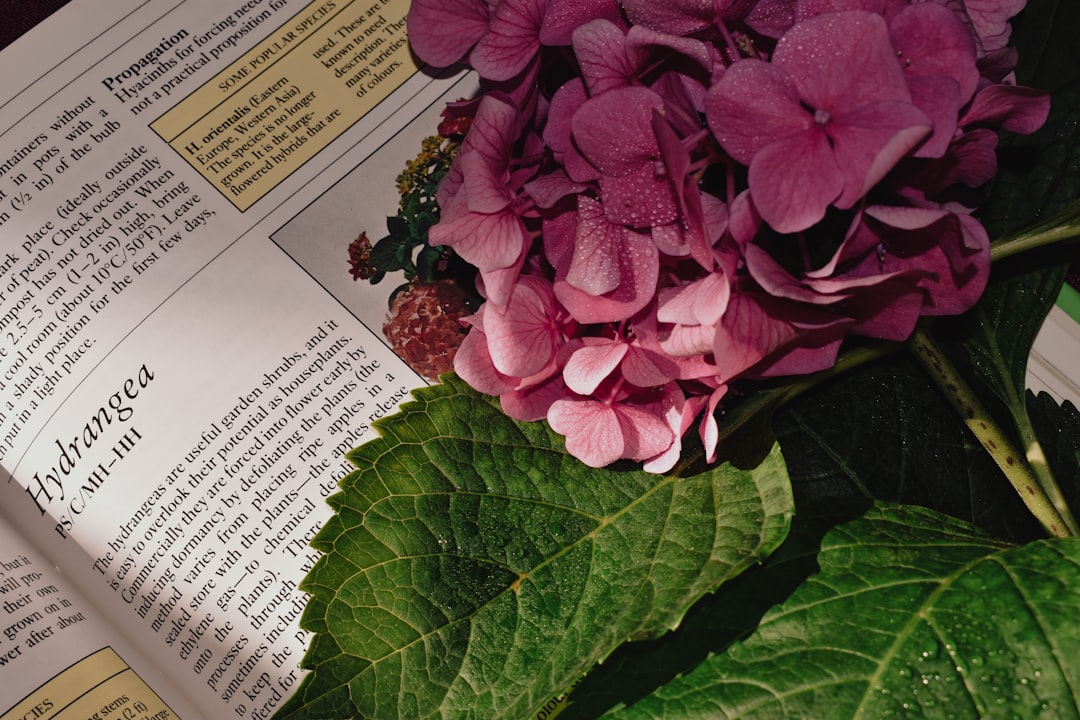 You are currently viewing 社群冒出大量「中草藥師」證書，衛福部將調查