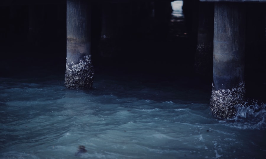 Photo 沉浸式服務