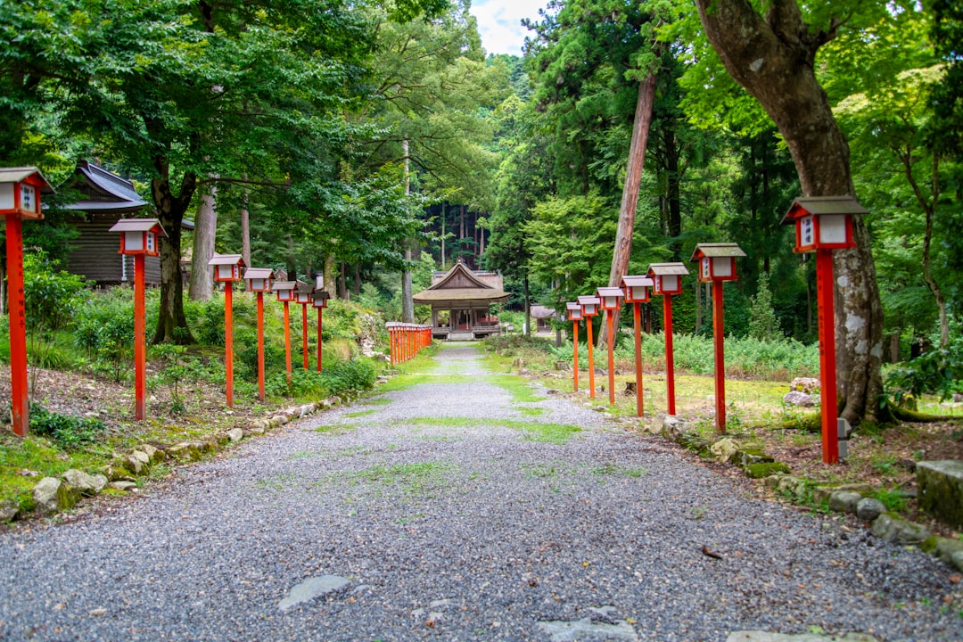 You are currently viewing 滋賀：琵琶湖畔的自然與歷史巡遊，悠閒享受日本最大淡水湖美景
