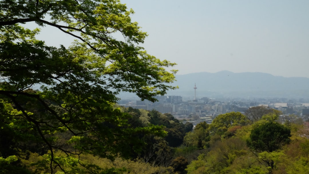 You are currently viewing 岡山：後樂園花園與水果采摘樂趣，享受自然美景和新鮮水果雙重驚喜