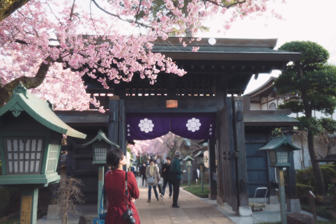 You are currently viewing 埼玉：近郊自然與歷史文化交織，輕鬆一日遊探索豐富在地風情