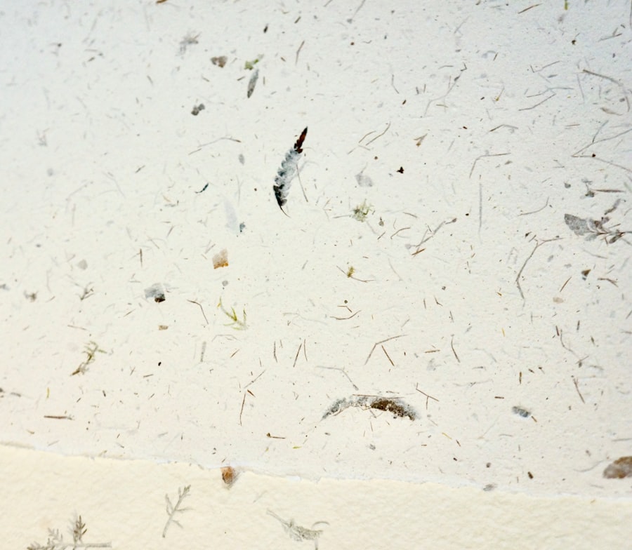 Photo dust mites