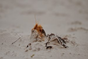 Read more about the article 【除塵蟎估價】大公開！影響價格的３個關鍵因素一次搞懂。