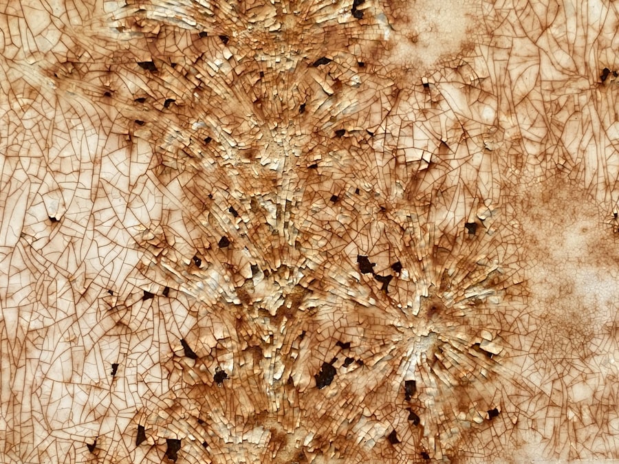 Photo dust mites
