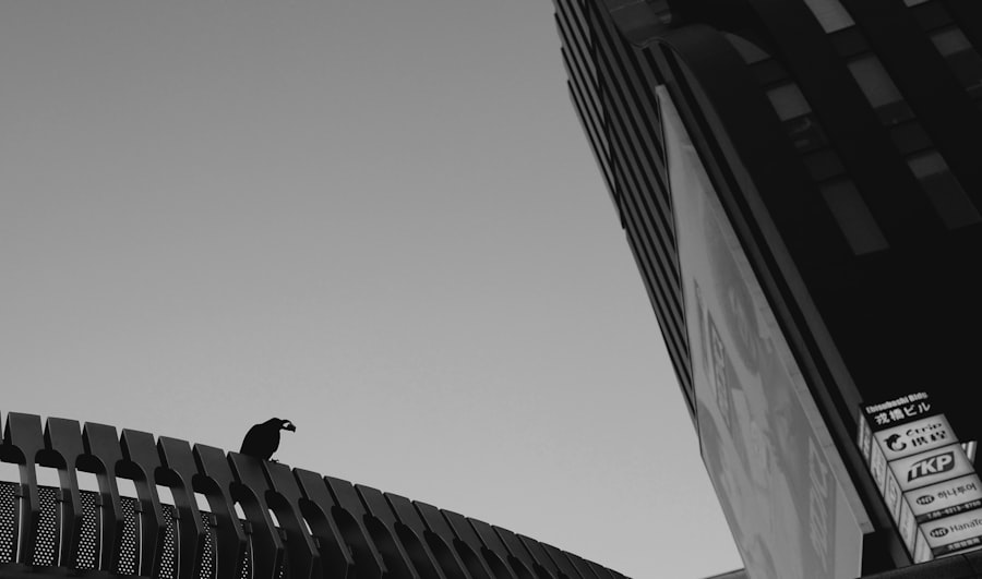 Photo Short-term rental strategy