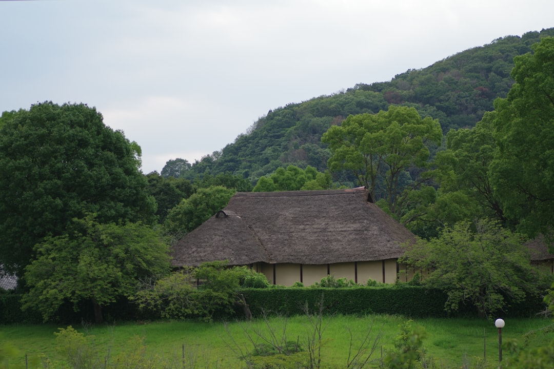 You are currently viewing 知床 — 世界自然遺產海上與陸地探險：知床五湖步道健行、羅臼或ウトロ海上觀熊與觀鯨、原始海岸線自然導覽