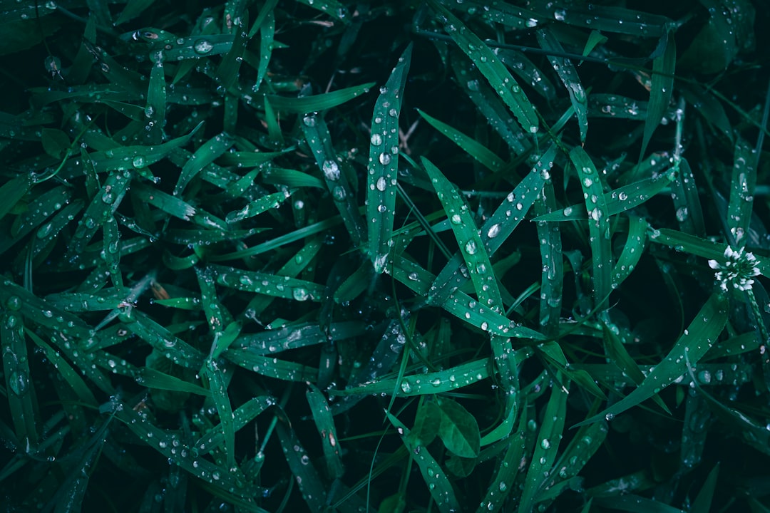 You are currently viewing 【裝潢細清費用】知多少？別只看價格，這些隱藏成本也要注意！