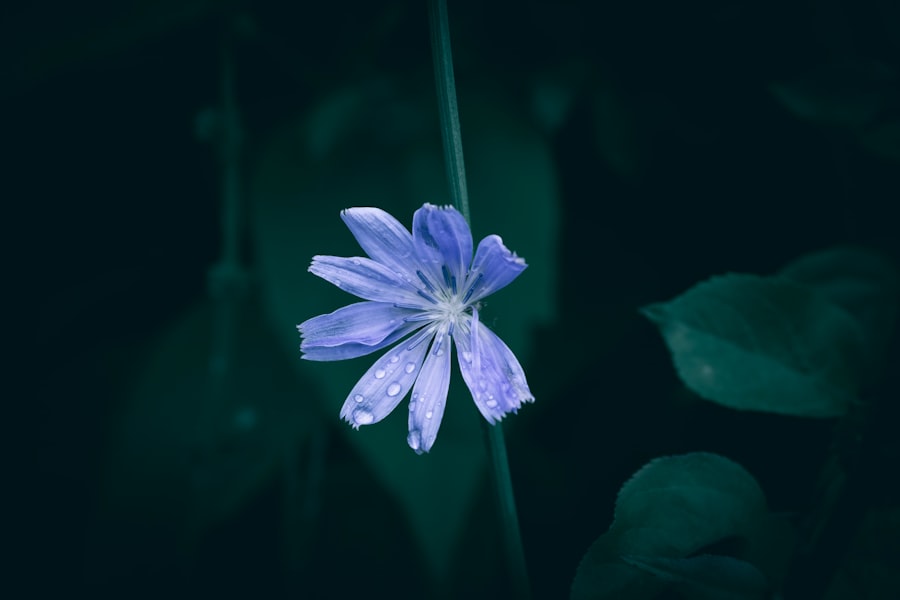 Photo after  decoration
