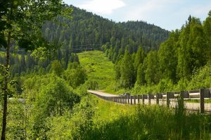 Read more about the article 嘉義縣：阿里山森林鐵路登山秘境、梅山鄉茶園風光享受、水上鄉古蹟巡禮