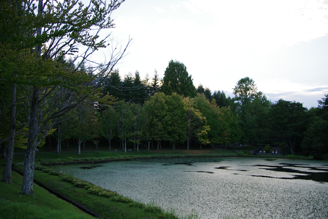 You are currently viewing 大分:溫泉名湯與自然美景盡享,日本九州最著名溫泉區的完美假期選擇