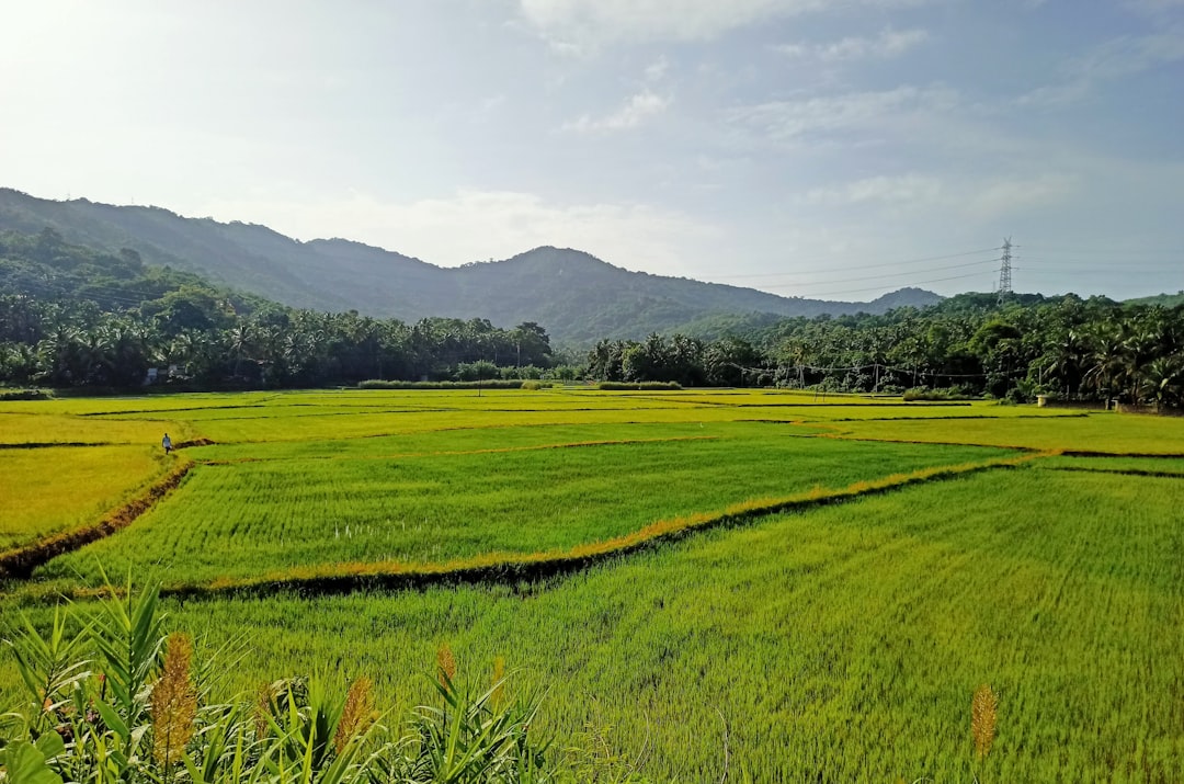 You are currently viewing 屏東縣：墾丁國家公園熱帶風情、東港黑鮪魚季海鮮盛宴、牡丹鄉原住民文化體驗